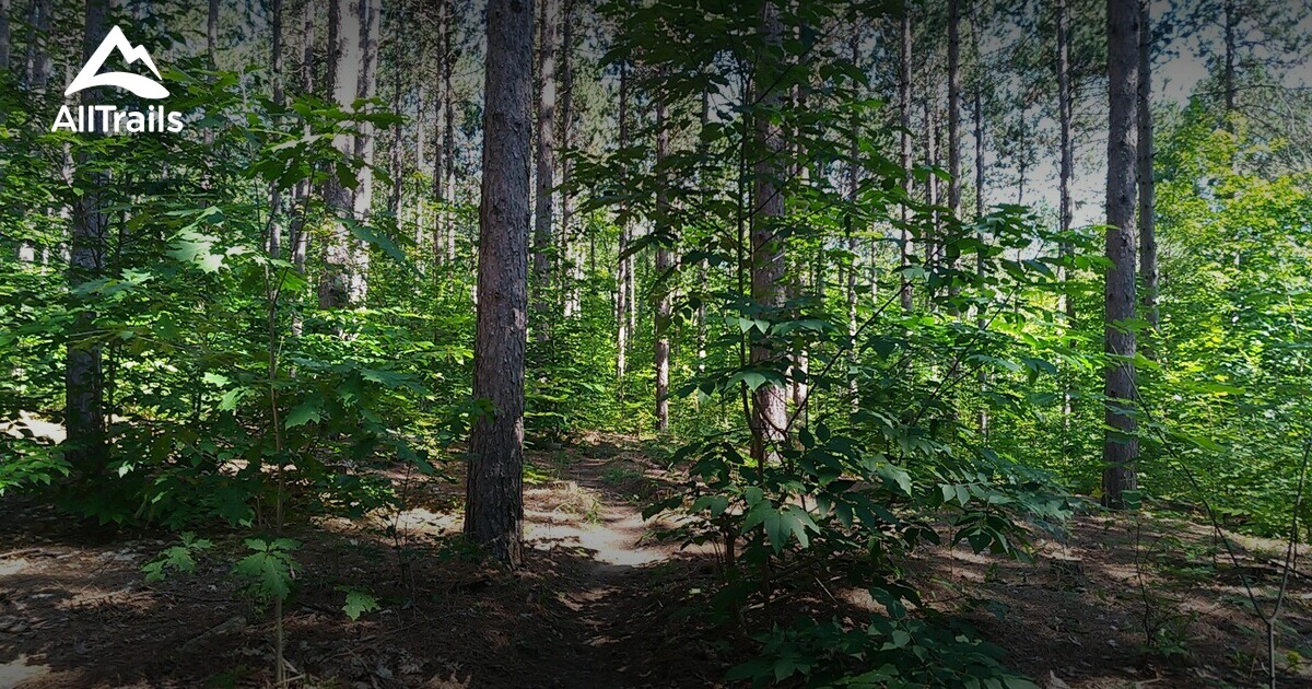 Best Trails in Dufferin County Forest Ontario, Canada AllTrails