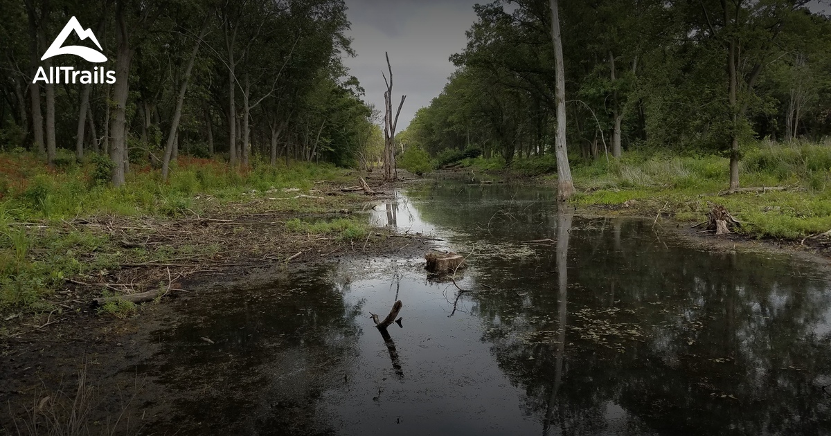 Best Trails in Gibson Woods Nature Preserve Indiana AllTrails