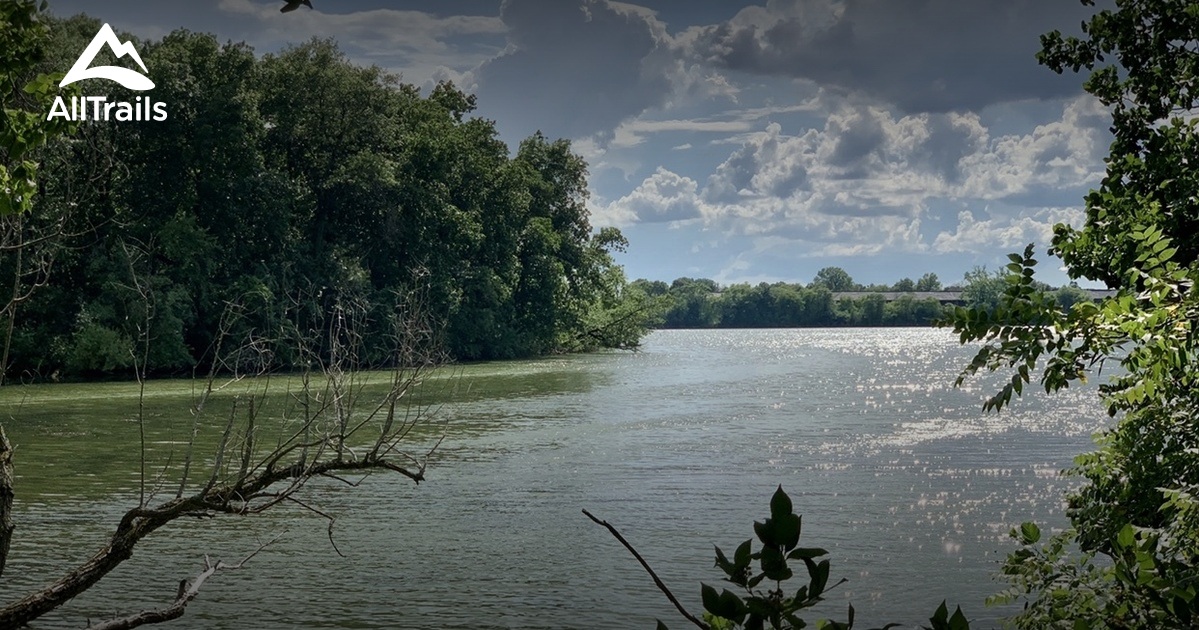 Best 10 Hiking Trails in Reed Turner Woodland AllTrails