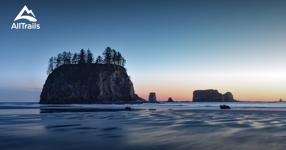 Best Trails in Quillayute River Park Washington AllTrails