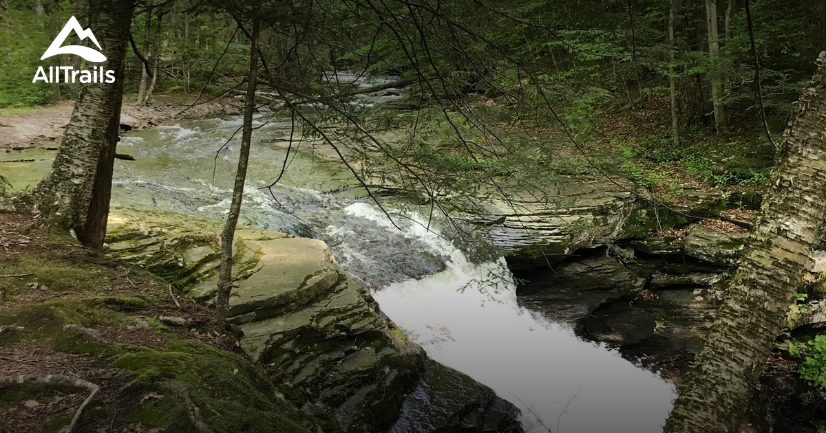 Best Hikes and Trails in Pennsylvania State Game Lands Number 13