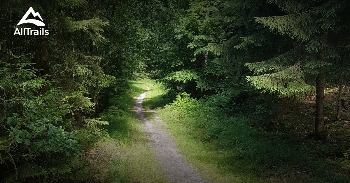 Best views trails in Naturschutzgebiet Buchenwälder im Rosengarten