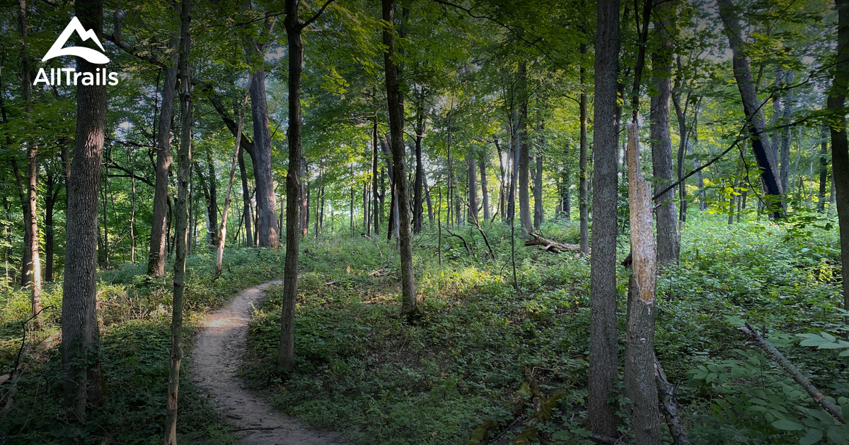 Escape to Serenity: Your Guide to Franklin Creek State Natural Area