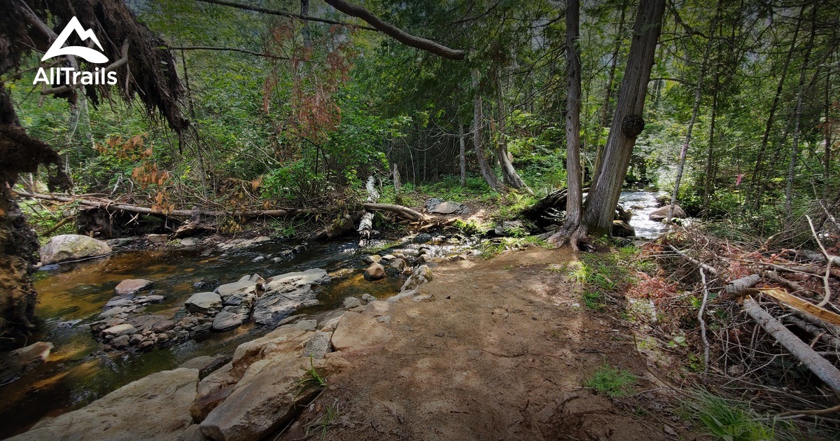 Best hikes and trails in Hagar Mountain State Natural Area AllTrails