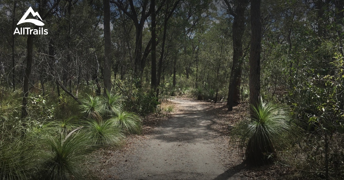 Best Trails in Toohey Forest Park Queensland, Australia AllTrails