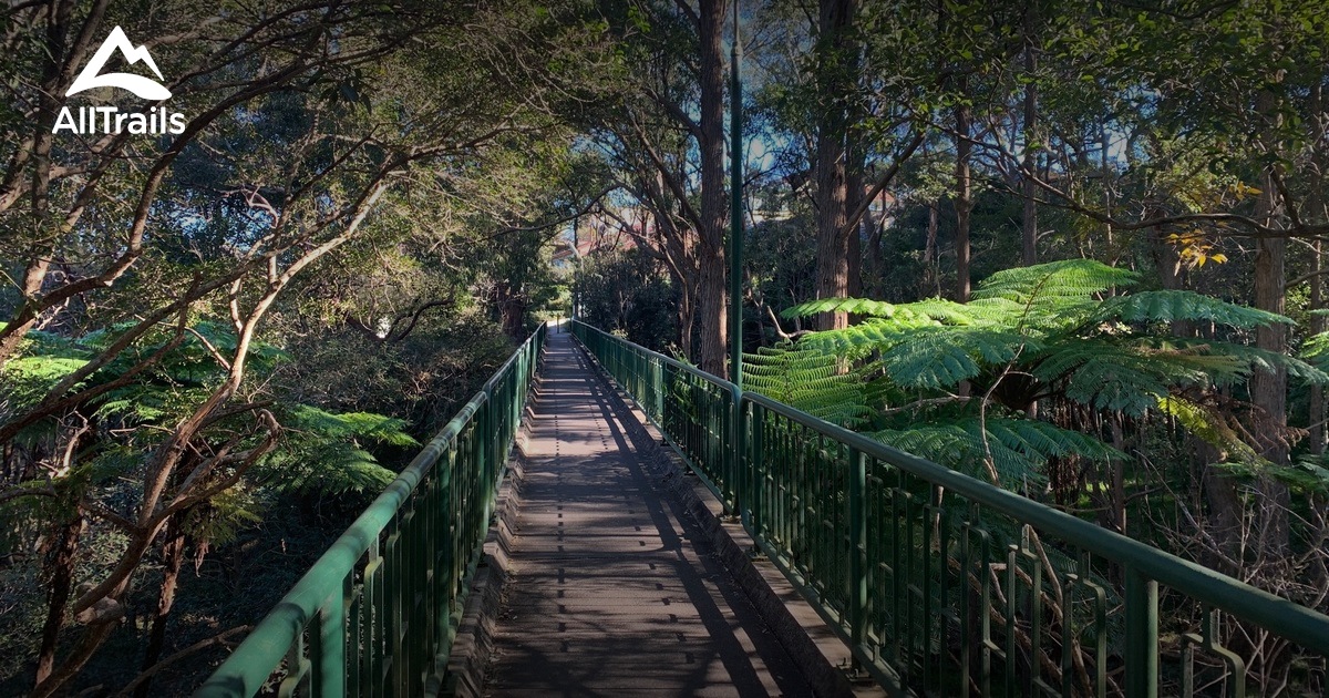 Best Hikes and Trails in Tambourine Bay Reserve AllTrails