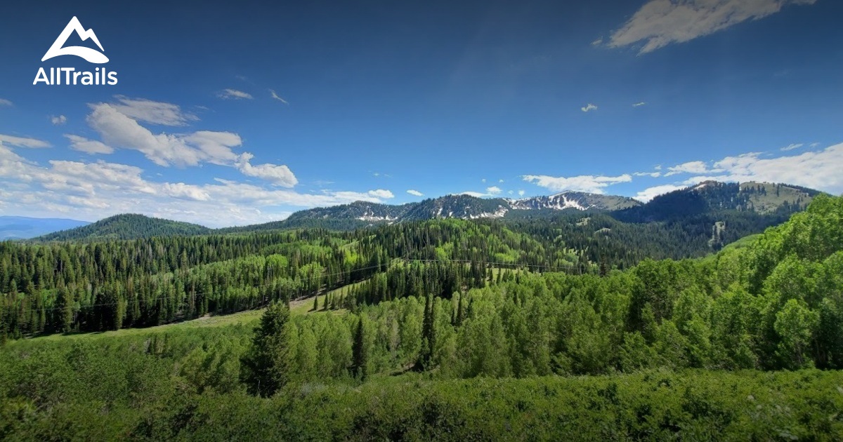 Best Hikes and Trails in Bonanza Flat Conservation Area AllTrails