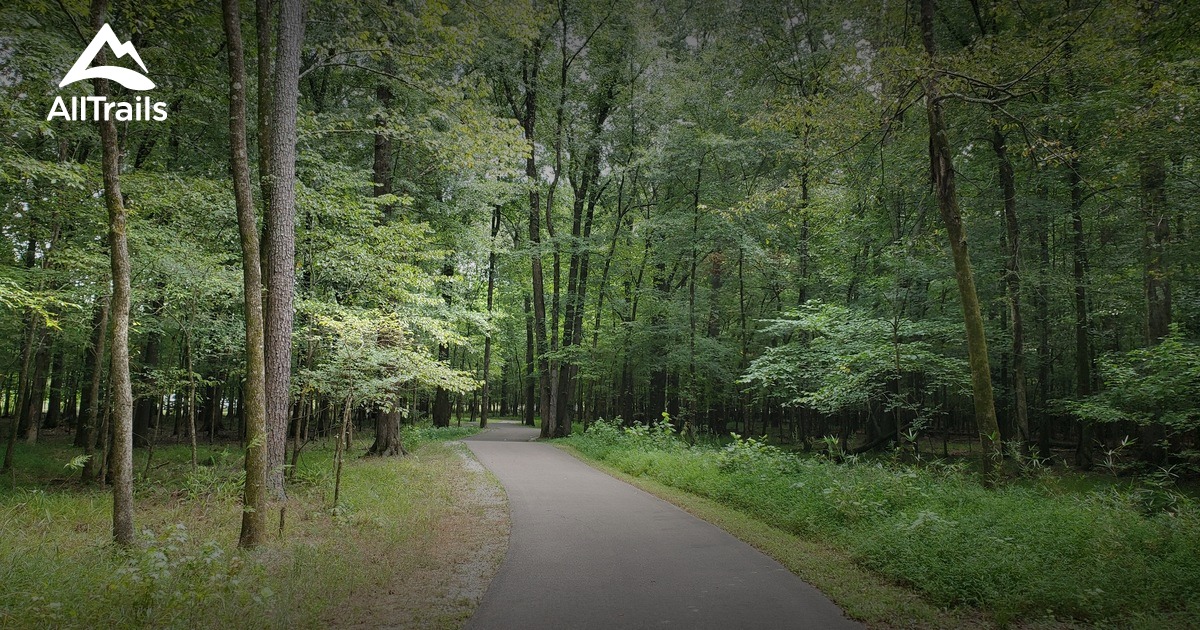 Best Hikes and Trails in RobbinsHalle Nature Preserve AllTrails