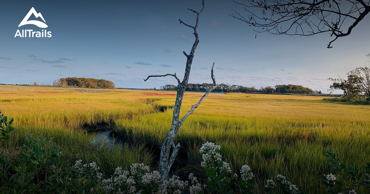 Best Hikes and Trails in Orient Point County Park AllTrails