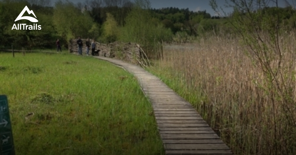 Best hikes and trails in Auried nature reserve AllTrails