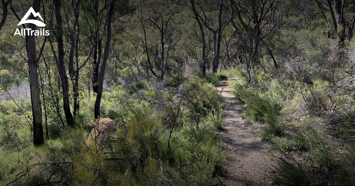 Best Trails In Mark Oliphant Conservation Park Alltrails