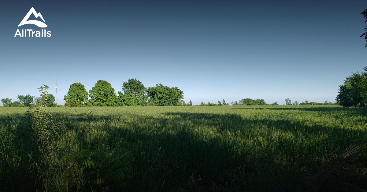 Best hikes and trails in Two Creeks Conservation Area | AllTrails