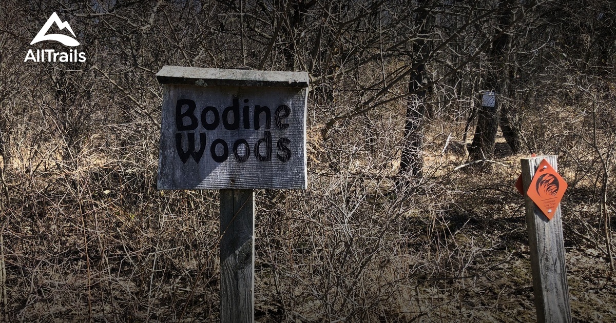 Best Hikes and Trails in Quakertown Preserve AllTrails