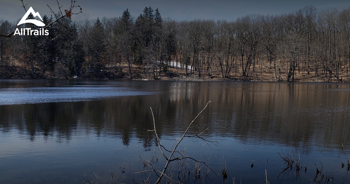 Best Hikes and Trails in Shiawassee Basin Preserve AllTrails