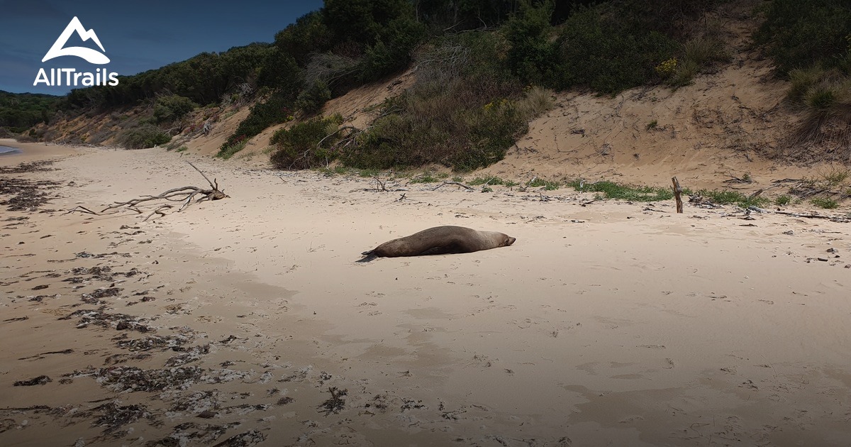 Best Hikes And Trails In San Remo Coastal Reserve AllTrails best-hikes-and-trails-in-san-remo-coastal-reserve-alltrails
