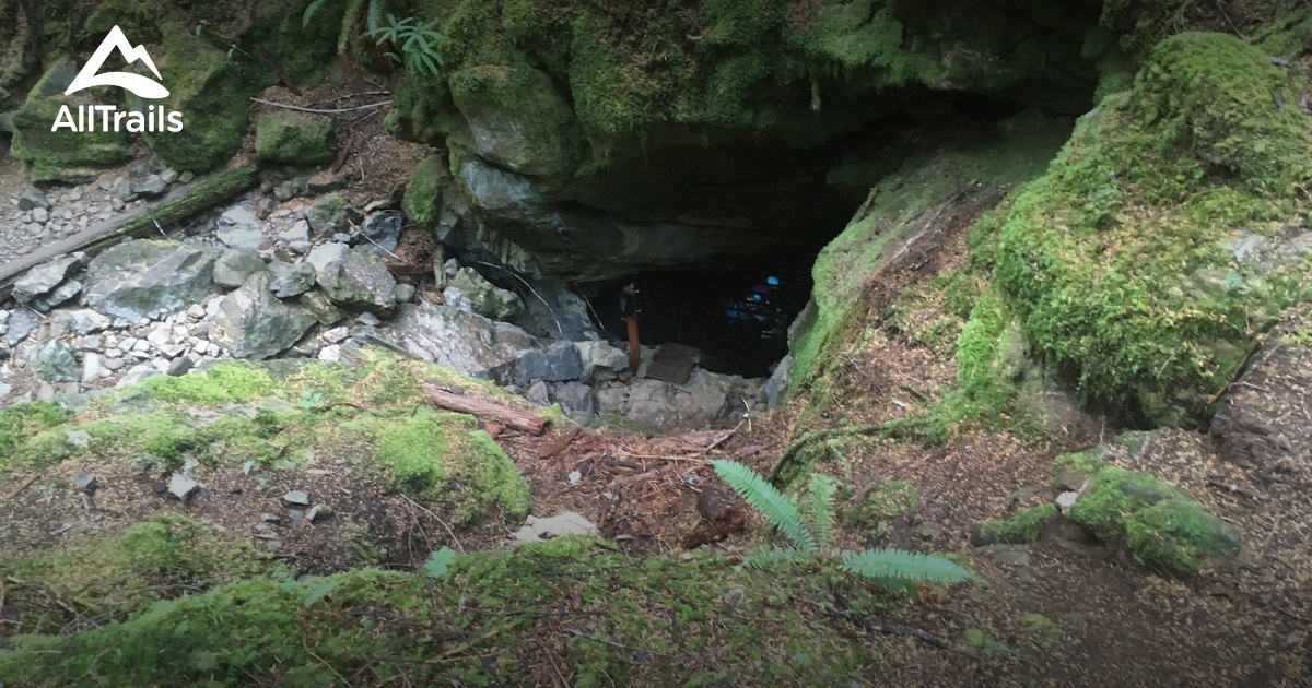 Best Hikes And Trails In Horne Lake Caves Provincial Park AllTrails