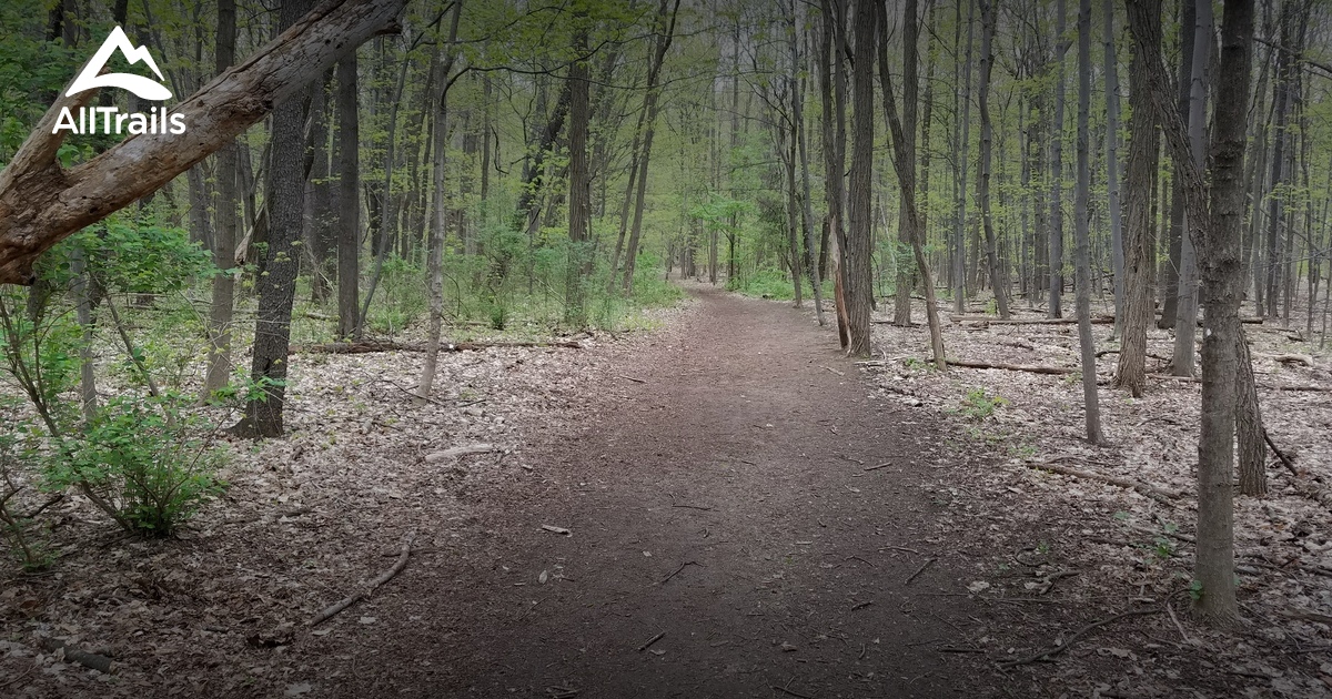 Best Hikes And Trails In Rotary Park Nature Preserve Alltrails