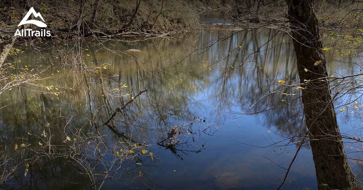 Best Hikes and Trails in Cove Creek Natural Area AllTrails