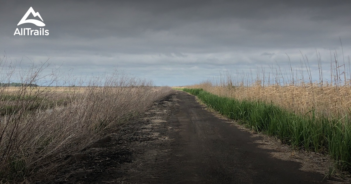 Best Hikes and Trails in Bear Island Wildlife Management Area AllTrails