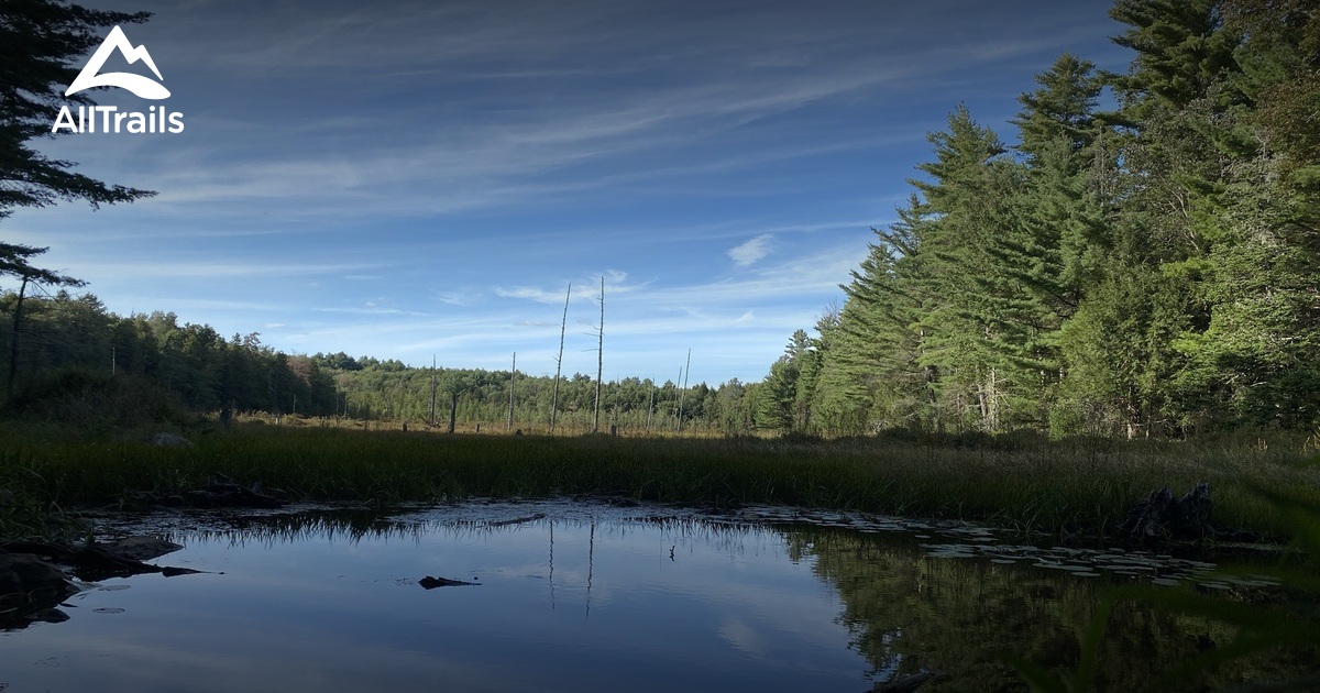 Best Forest Trails in Dyken Pond Environmental Education Center AllTrails