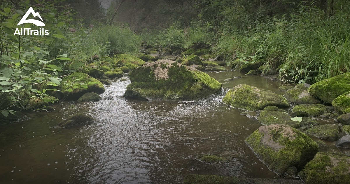 Best hikes and trails in Corbeil Conservation Area AllTrails