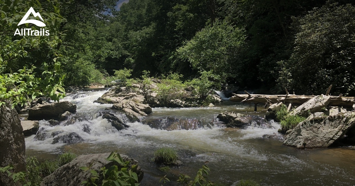 Best Hikes and Trails in Bottom Creek Preserve AllTrails