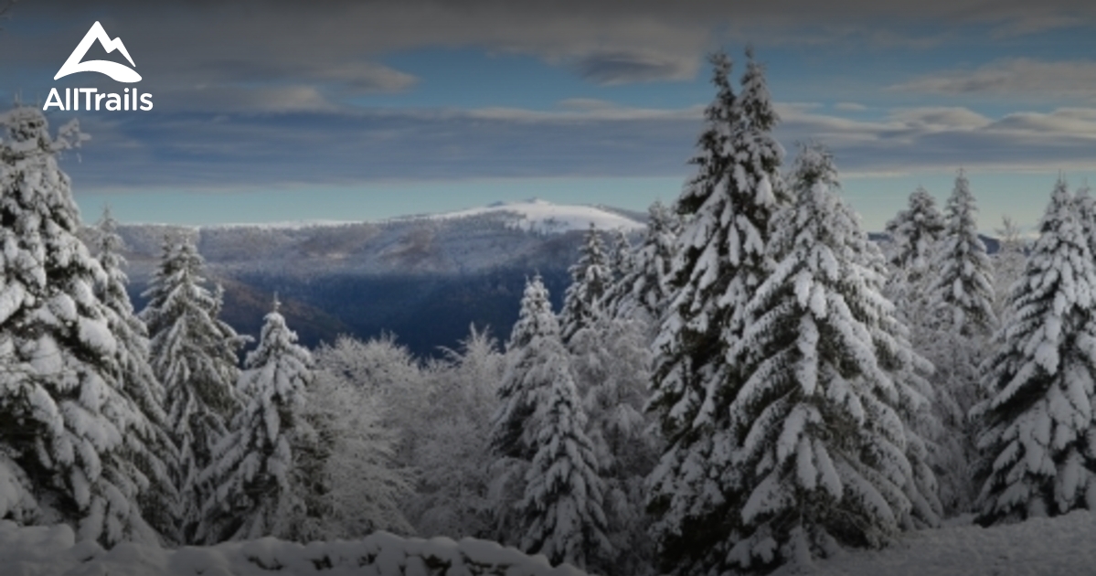 Réserve Naturelle du Massif du Grand Ventron de beste routes om te wandelen AllTrails Réserve Naturelle du Massif du Grand Ventron de beste routes om te wandelen AllTrails