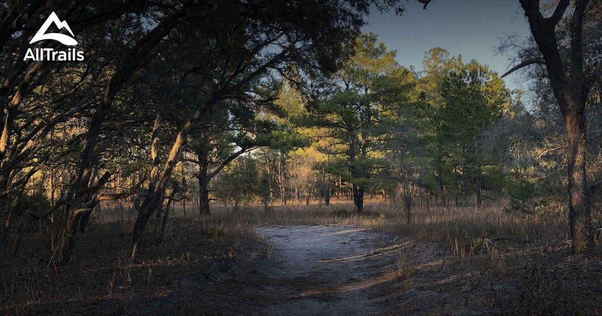 Best Hikes and Trails in Annutteliga Hammock AllTrails