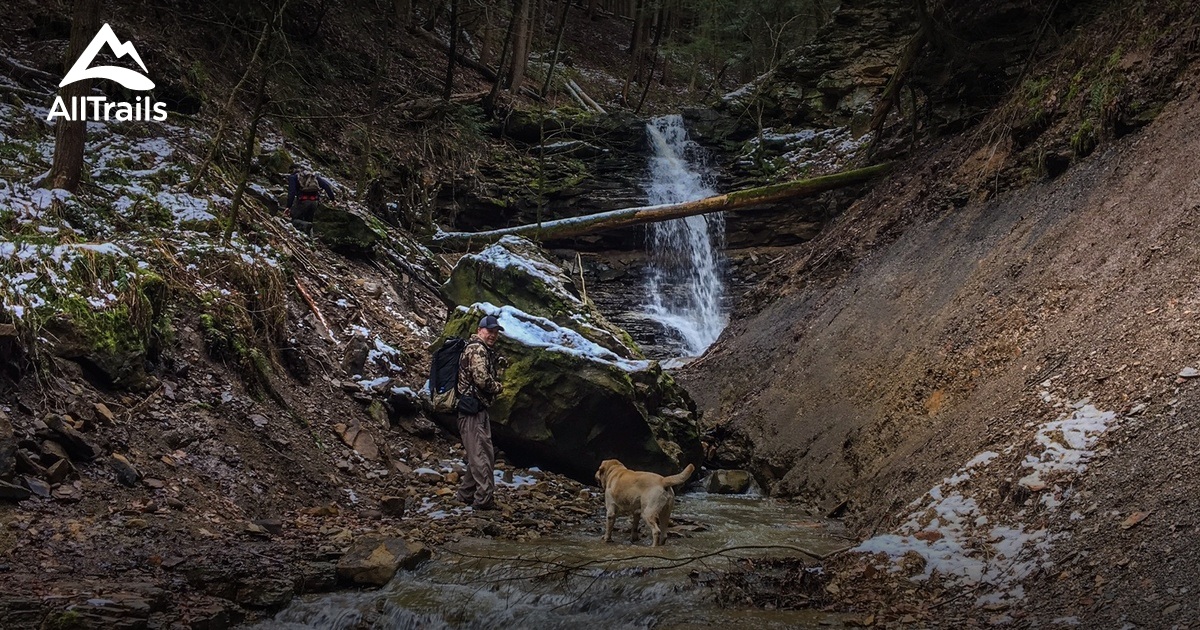 Best Hikes and Trails in State Game Land 130 AllTrails