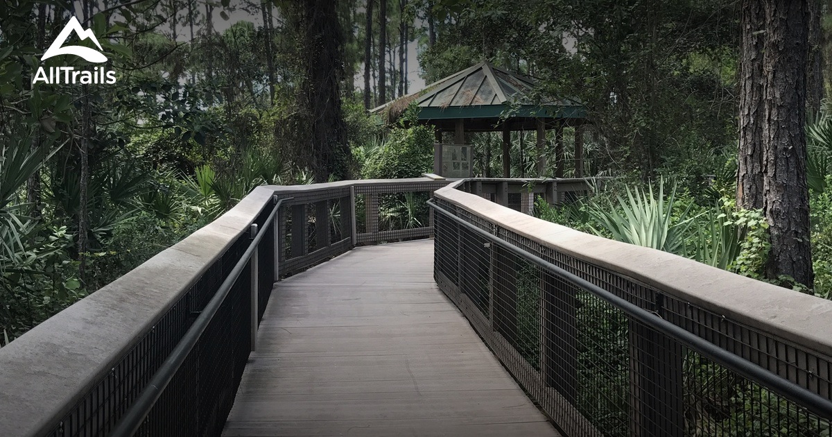 Best Trails In Hillsboro Pineland Natural Area Alltrails