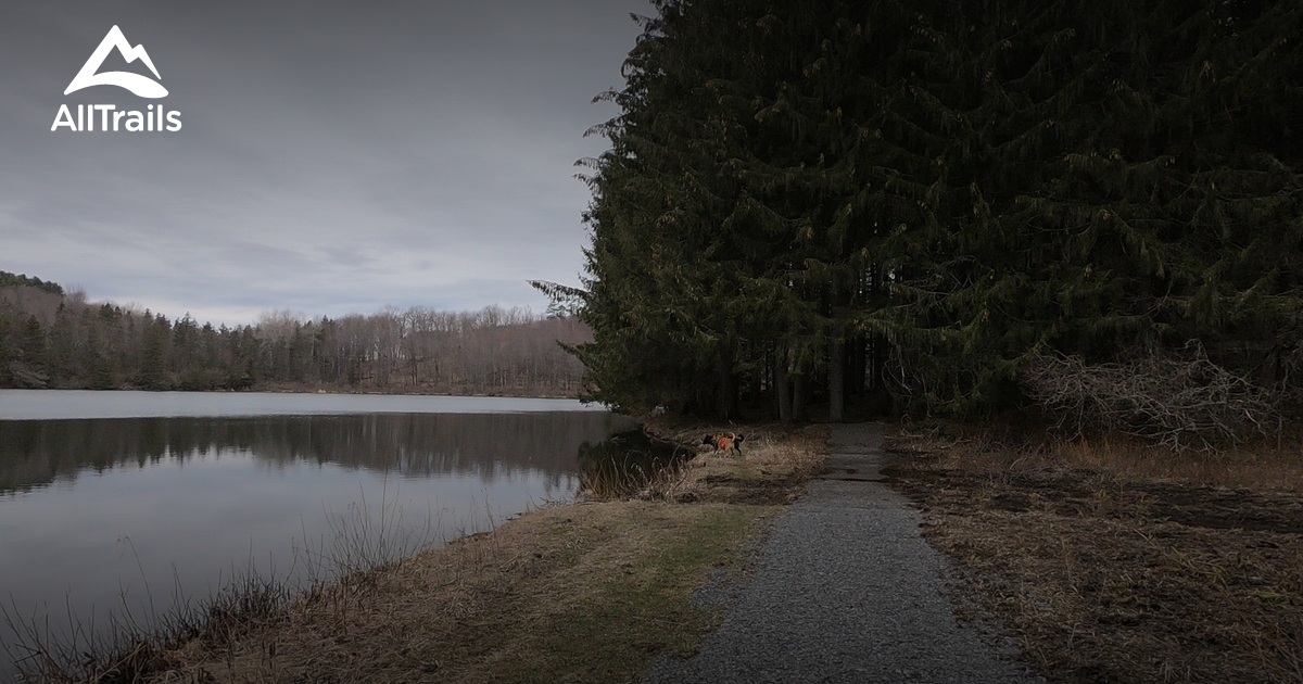 Best Hikes and Trails in Basswood Pond State Forest AllTrails