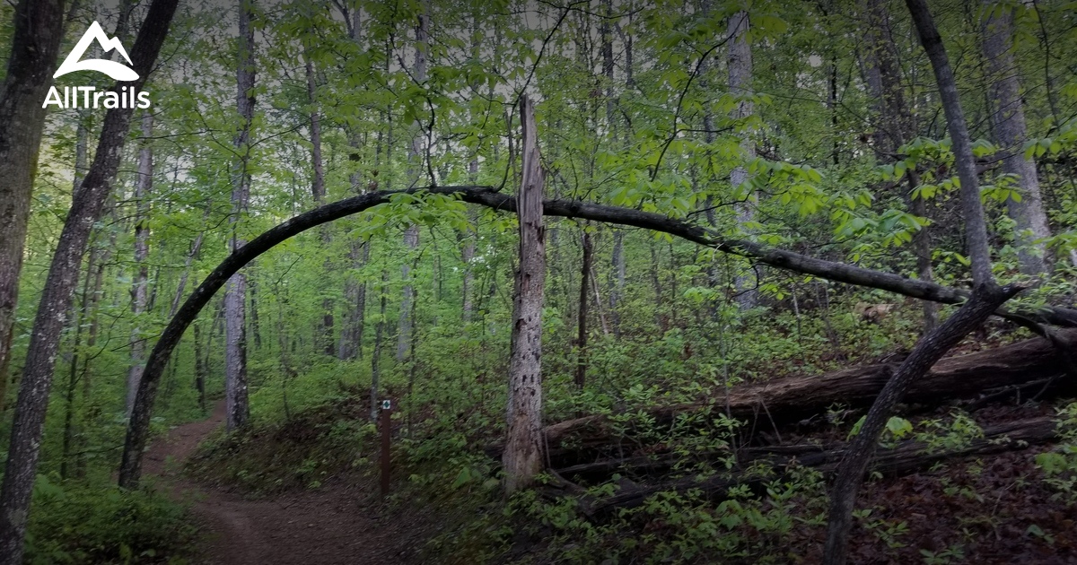 10 Best Hikes and Trails in White Oak Mountain Trail System AllTrails