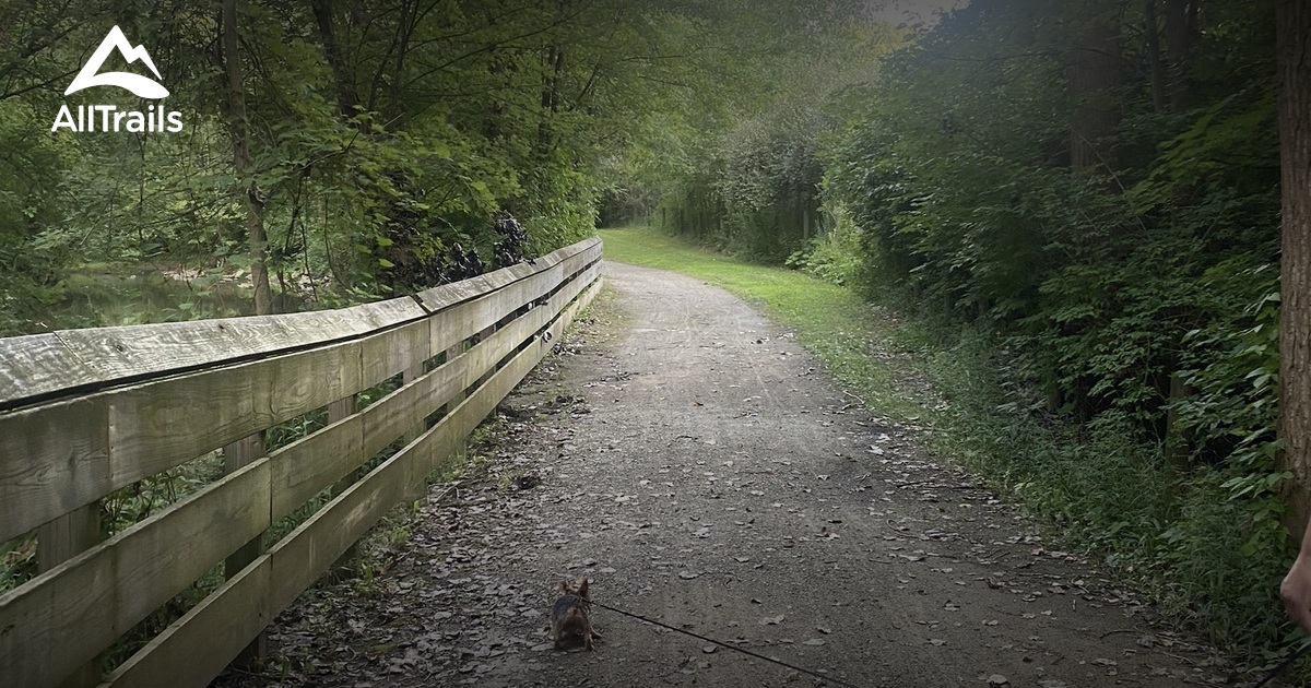 Best Hikes and Trails in Earley's Hill Park AllTrails