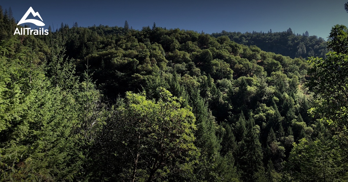 Best Hikes and Trails in Jacksonville Forest Park AllTrails