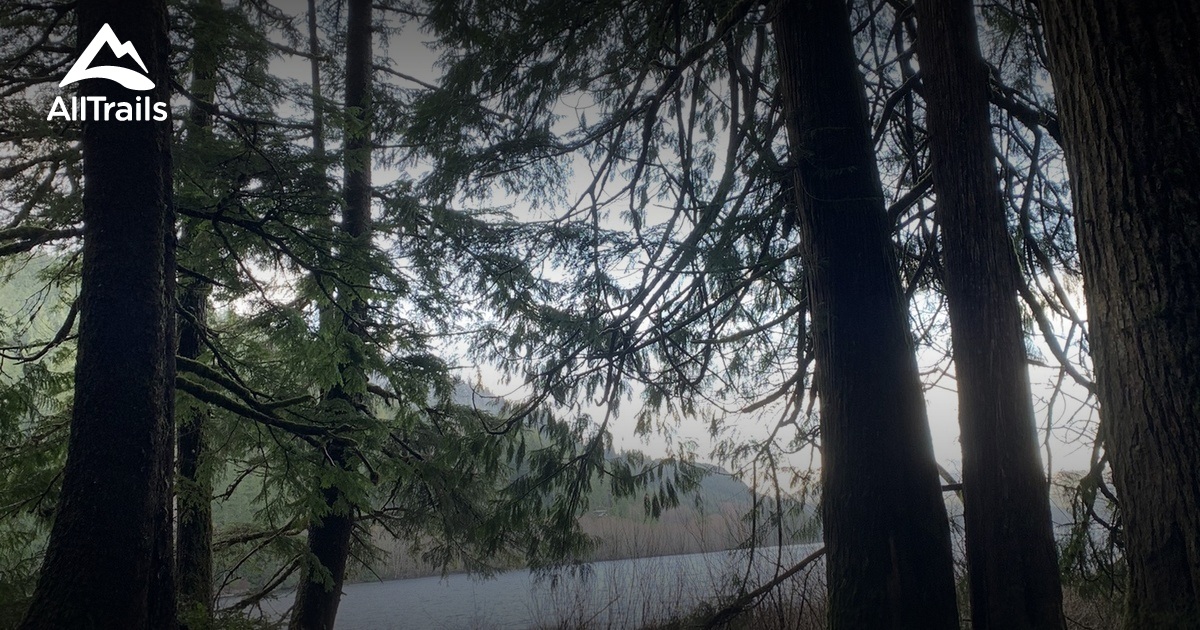 Best hikes and trails in Nahwitti River Recreation Site AllTrails