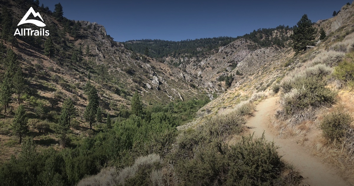 10 Best Hikes And Trails In Humboldt Toiyabe National Forest Alltrails