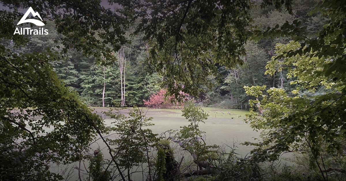Best Hikes and Trails in Reed's Basket Willow Swamp Park AllTrails