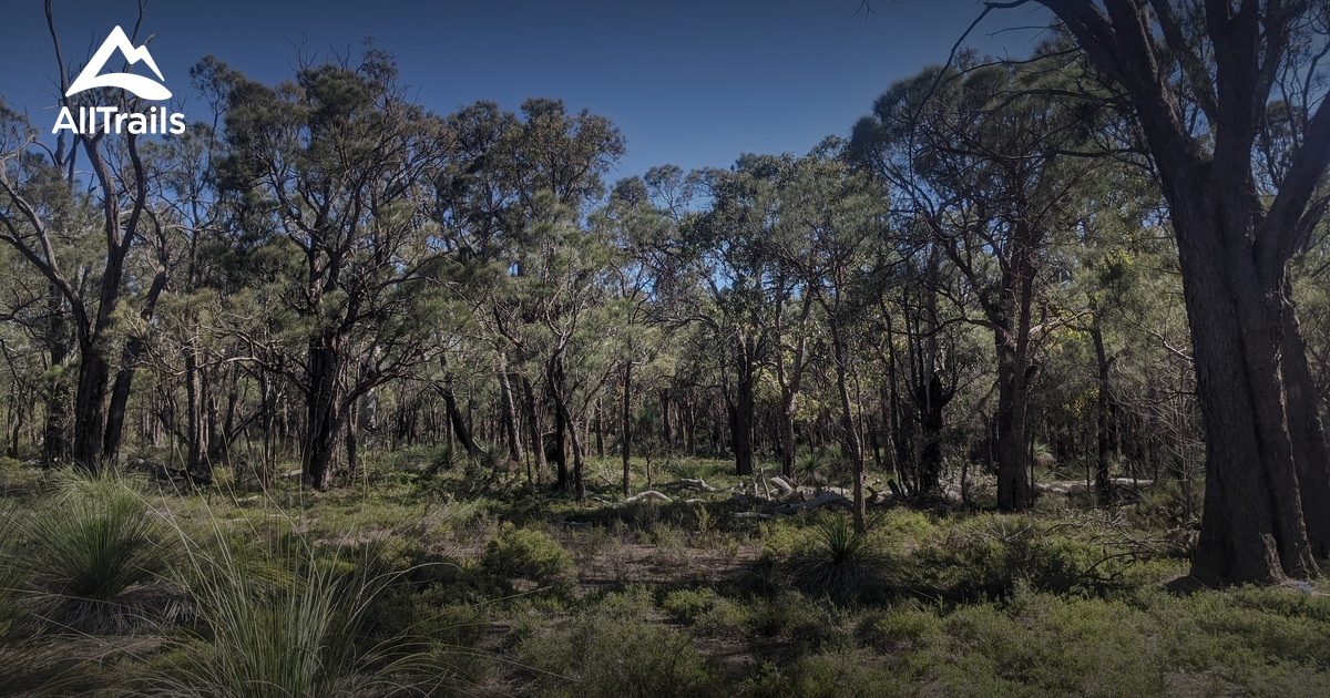 Best hikes and trails in Bungendore Park AllTrails