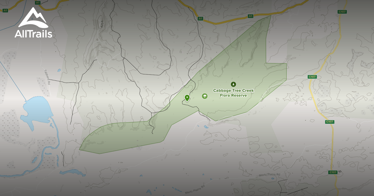 Best Hikes and Trails in Cabbage Tree Creek Flora Reserve AllTrails