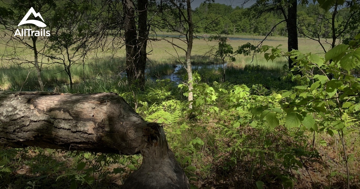 Best Hikes and Trails in County Forest AllTrails