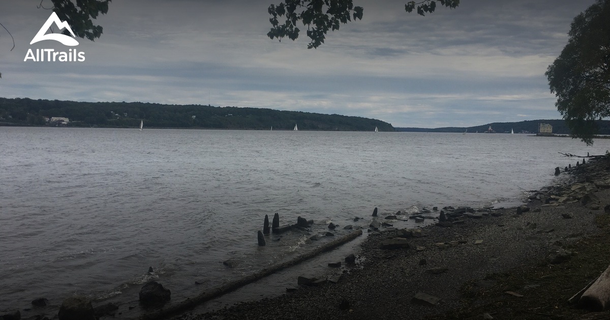 are dogs allowed at kingston point beach