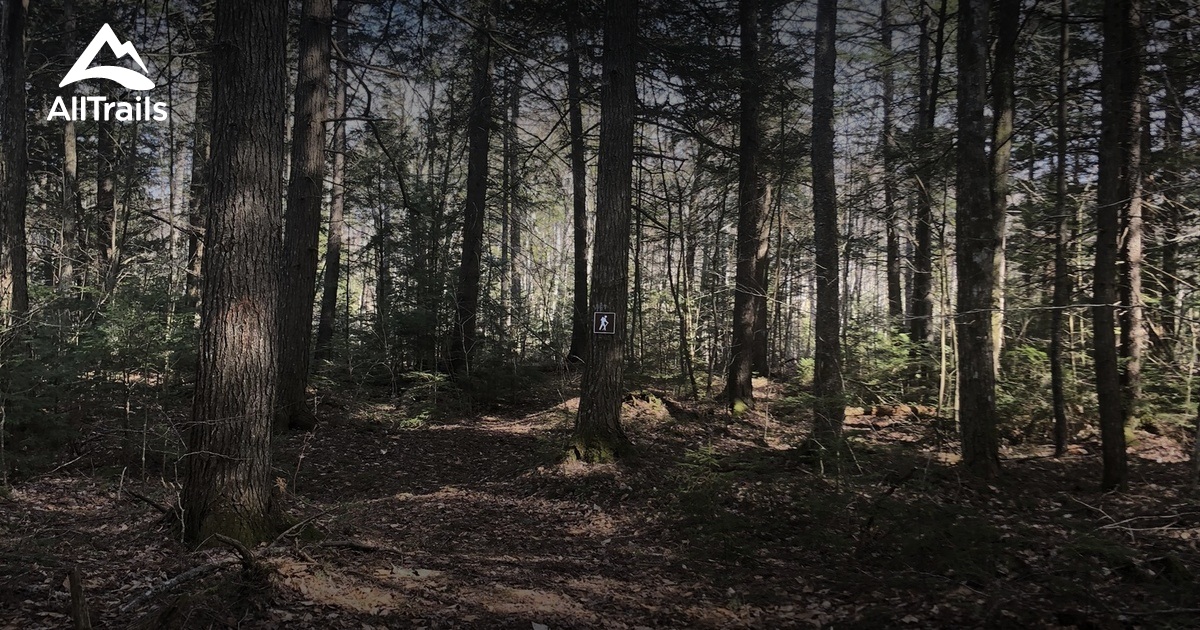 Best Hikes and Trails in Waldoboro Town Forest AllTrails