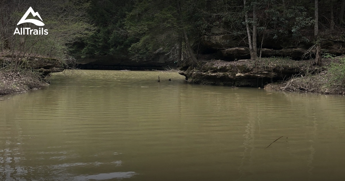 Best Hikes and Trails in Paintsville Lake Wildlife Management Area