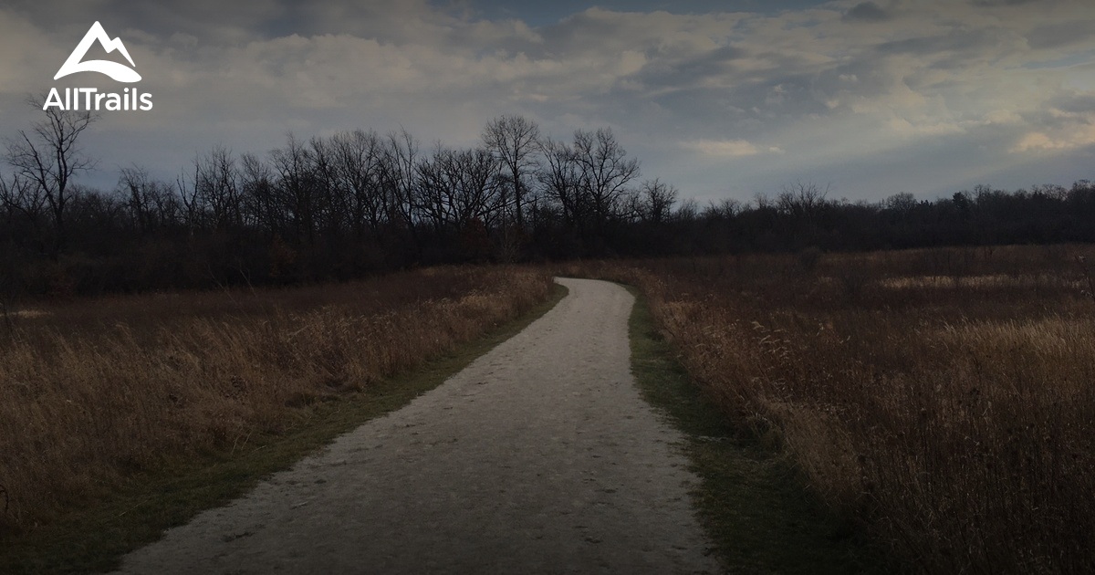 Best Wheelchair Friendly Trails in Timber Ridge Forest Preserve AllTrails