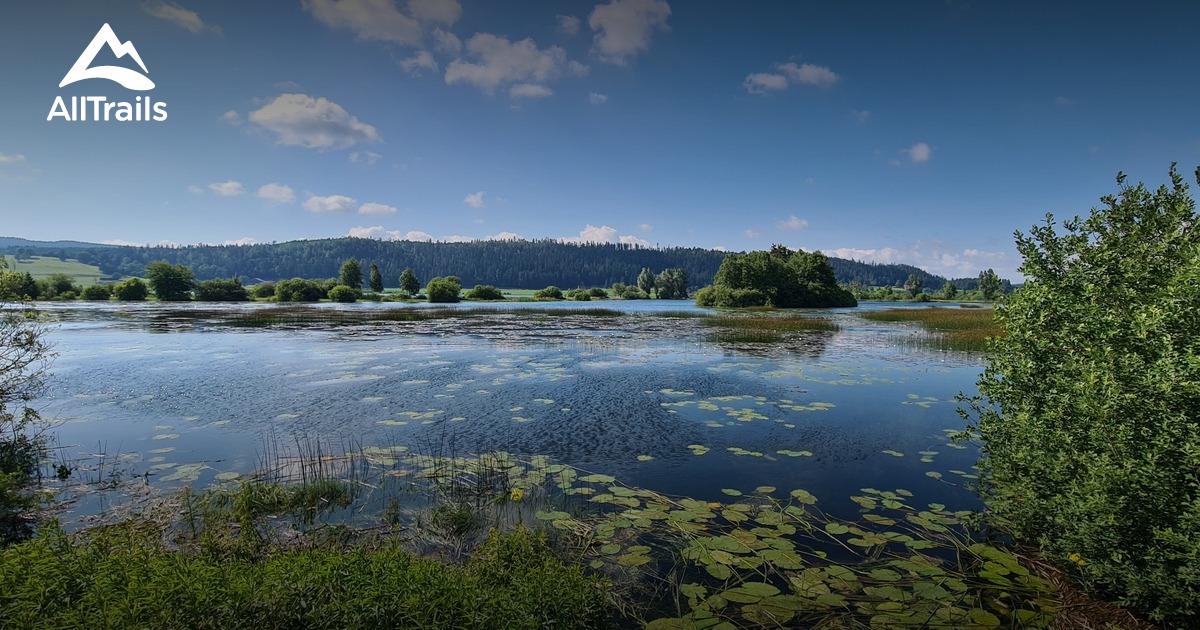 Best hikes and trails in Réserve Naturelle Nationale du Lac de Remoray