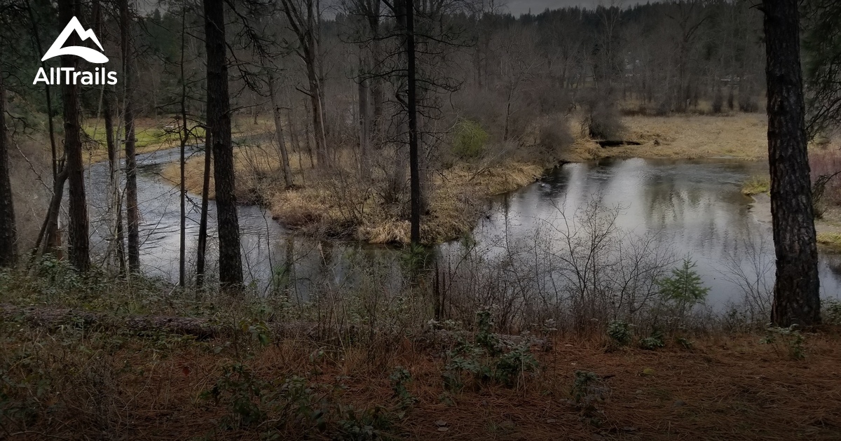 Best hikes and trails in Haynes Estate Conservation Area AllTrails