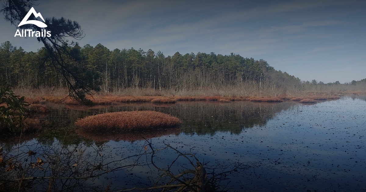 10 Best hikes and trails in Pinelands National Reserve | AllTrails
