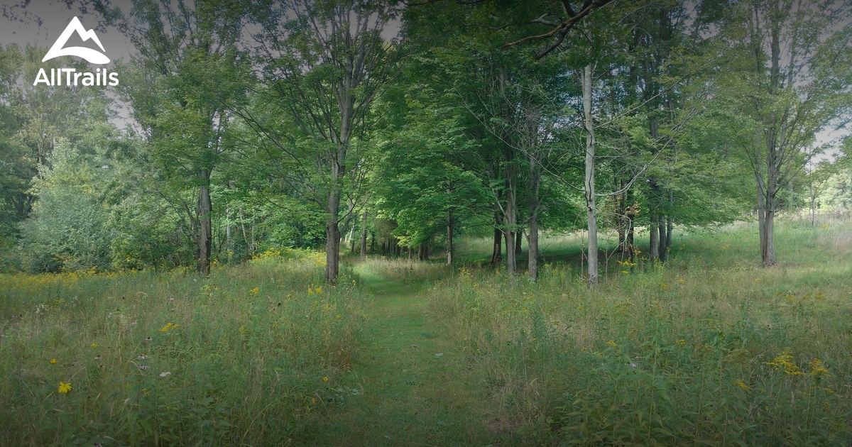 Best Hikes and Trails in Whitmore Lake Preserve AllTrails