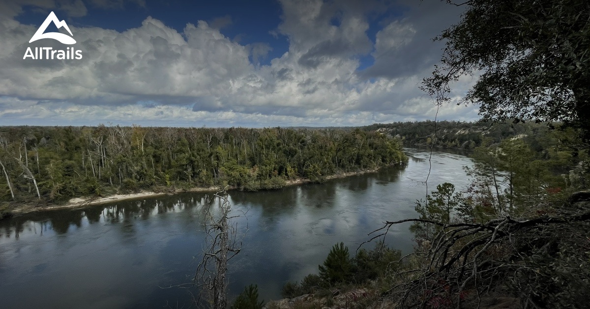 Best hikes and trails in Apalachicola Bluffs and Ravines Preserve AllTrails