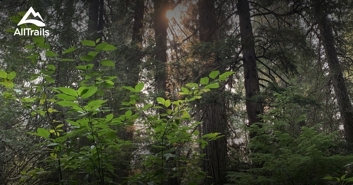 Best Hikes and Trails in Goat Range Provincial Park AllTrails